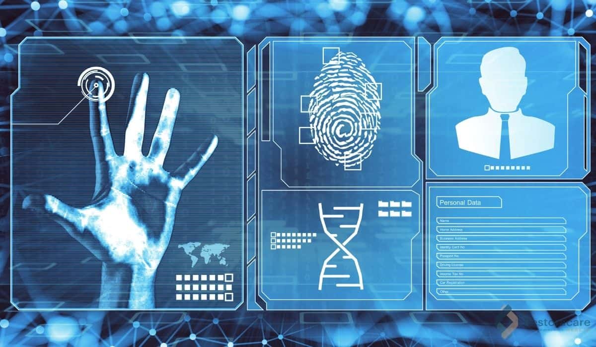 Understanding Your Rights A Comprehensive Medical Identity Theft Description in Toronto