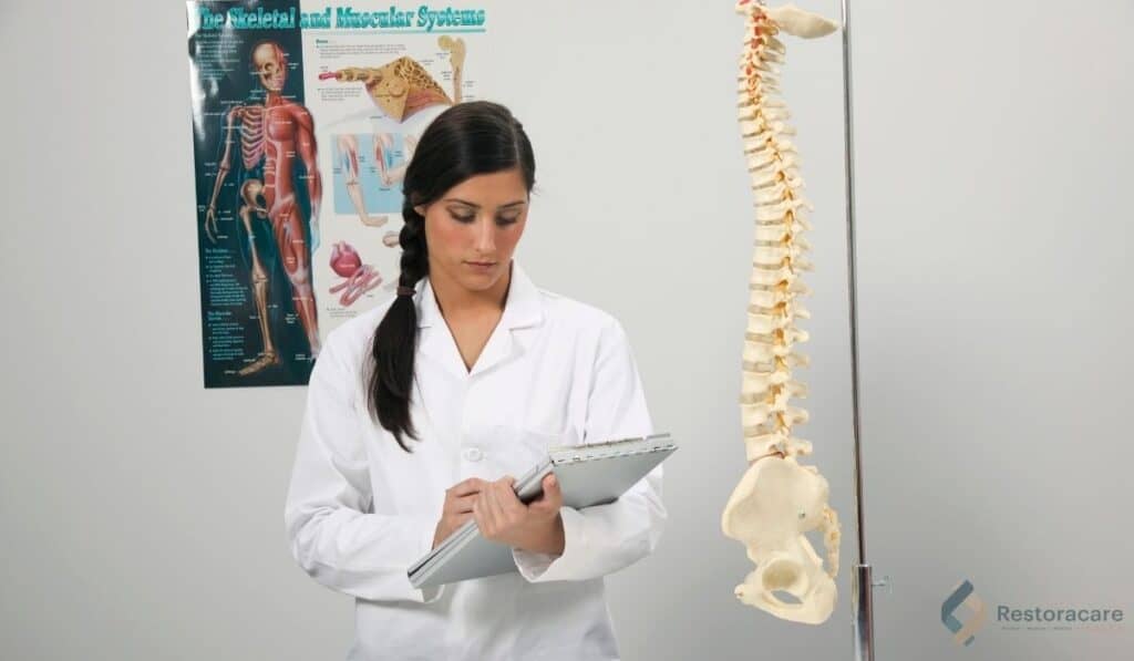 Chiropractic Facts and Statistics in Toronto: The 2026 Evidence-Based Canadian Health Guide